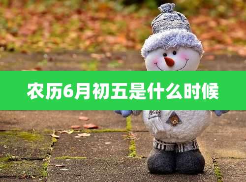 农历6月初五是什么时候