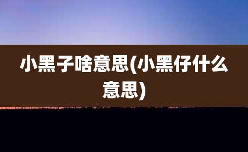 小黑子啥意思(小黑仔什么意思)