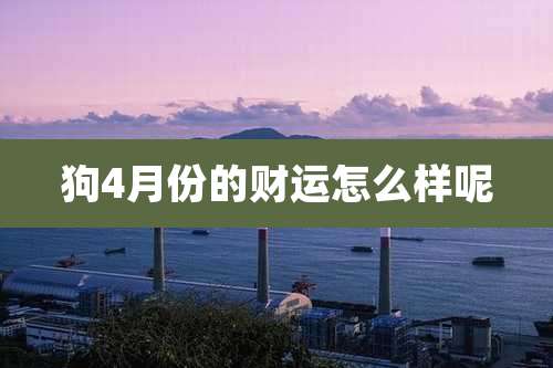 狗4月份的财运怎么样呢