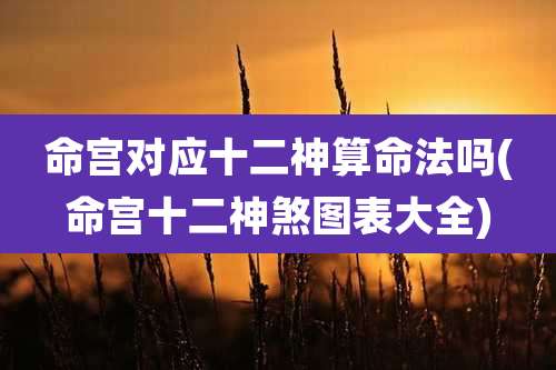 命宫对应十二神算命法吗(命宫十二神煞图表大全)