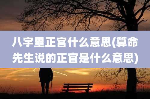 八字里正宫什么意思(算命先生说的正官是什么意思)