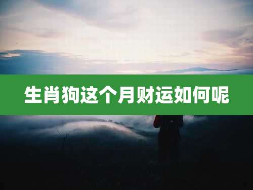 生肖狗这个月财运如何呢