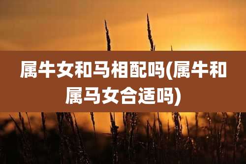 属牛女和马相配吗(属牛和属马女合适吗)