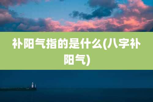 补阳气指的是什么(八字补阳气)