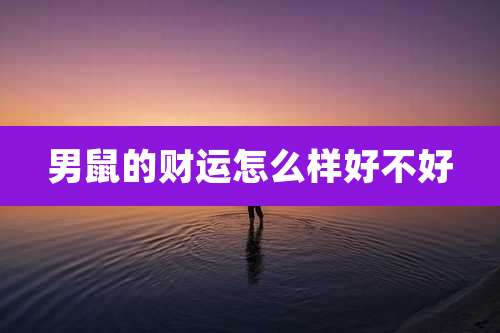 男鼠的财运怎么样好不好