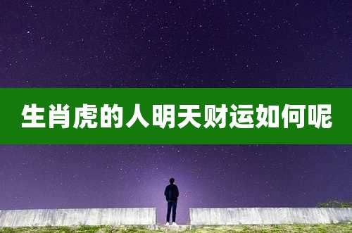 生肖虎的人明天财运如何呢