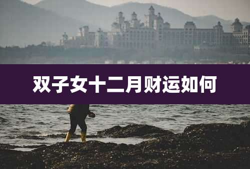 双子女十二月财运如何