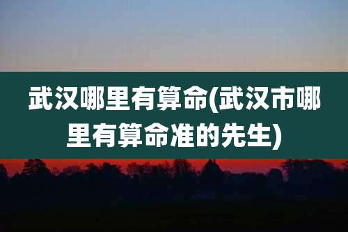 武汉哪里有算命(武汉市哪里有算命准的先生)