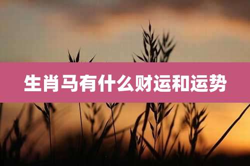 生肖马有什么财运和运势