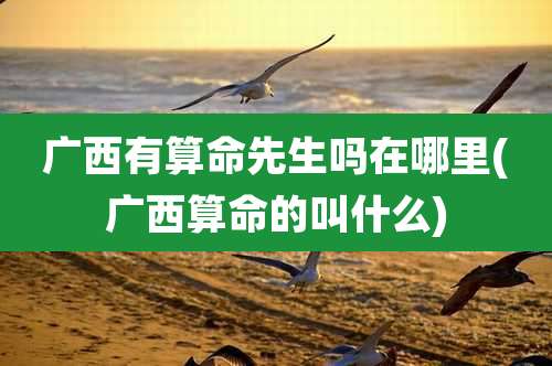 广西有算命先生吗在哪里(广西算命的叫什么)