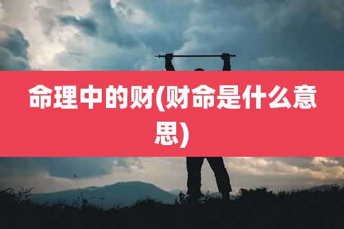 命理中的财(财命是什么意思)