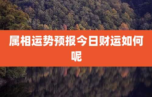 属相运势预报今日财运如何呢