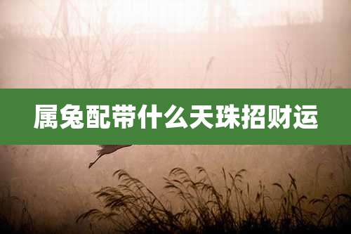 属兔配带什么天珠招财运