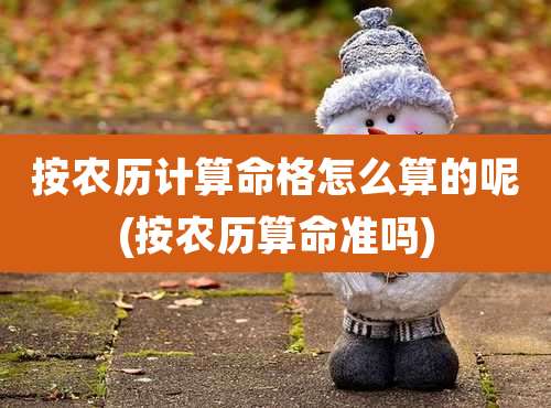 按农历计算命格怎么算的呢(按农历算命准吗)