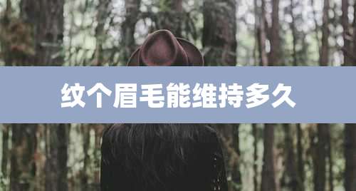 纹个眉毛能维持多久