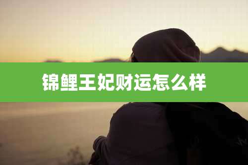 锦鲤王妃财运怎么样