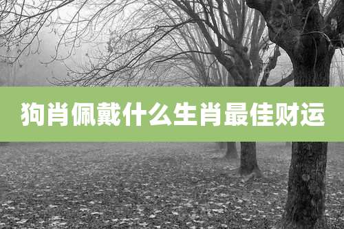 狗肖佩戴什么生肖最佳财运