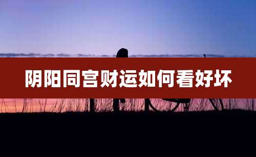 阴阳同宫财运如何看好坏