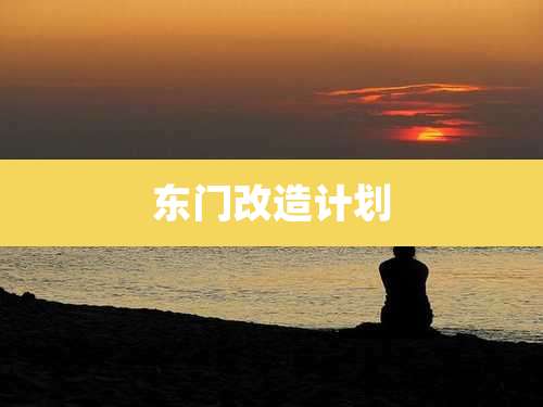 东门改造计划