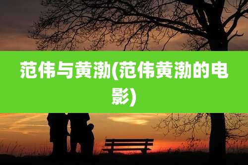 范伟与黄渤(范伟黄渤的电影)