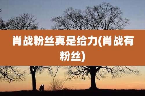 肖战粉丝真是给力(肖战有粉丝)