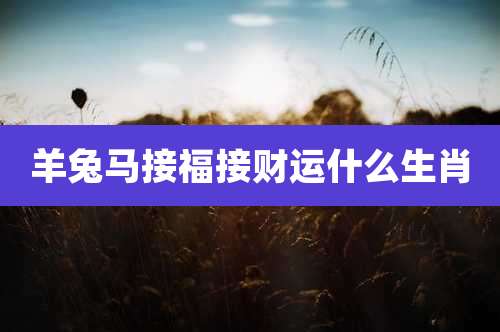 羊兔马接福接财运什么生肖