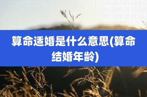 算命适婚是什么意思(算命 结婚年龄)