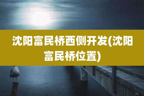 沈阳富民桥西侧开发(沈阳富民桥位置)