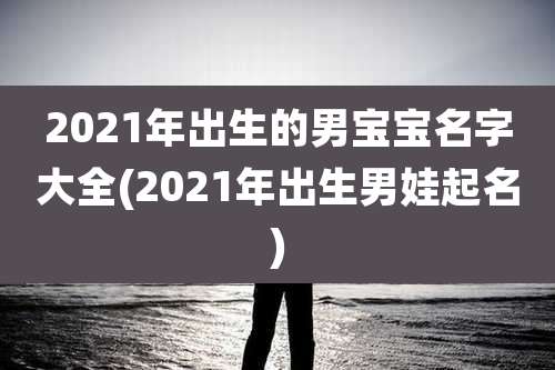 2021年出生的男宝宝名字大全(2021年出生男娃起名)