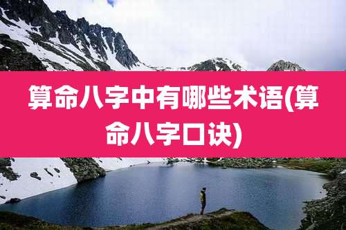 算命八字中有哪些术语(算命八字口诀)