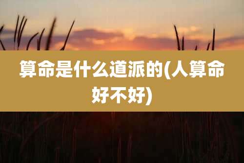 算命是什么道派的(人算命好不好)