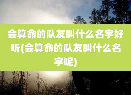 会算命的队友叫什么名字好听(会算命的队友叫什么名字呢)