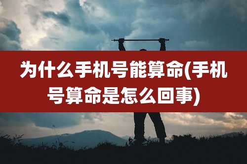 为什么手机号能算命(手机号算命是怎么回事)