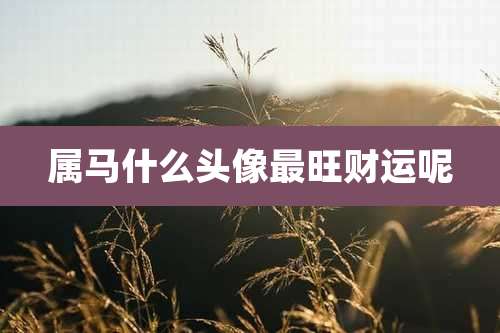 属马什么头像最旺财运呢