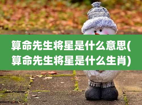 算命先生将星是什么意思(算命先生将星是什么生肖)
