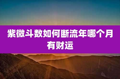 紫微斗数如何断流年哪个月有财运