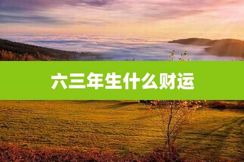 六三年生什么财运