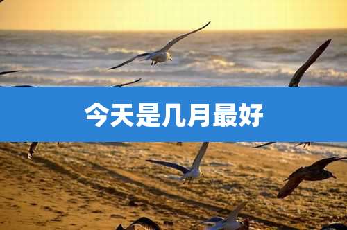 今天是几月最好