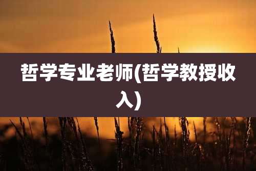 哲学专业老师(哲学教授收入)