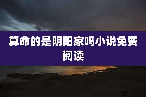 算命的是阴阳家吗小说免费阅读