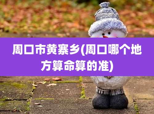 周口市黄寨乡(周口哪个地方算命算的准)