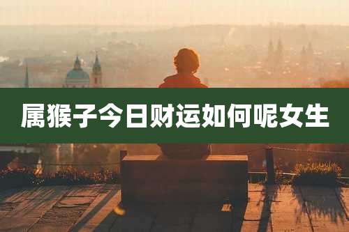 属猴子今日财运如何呢女生