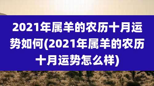 2021年属羊的农历十月运势如何(2021年属羊的农历十月运势怎么样)