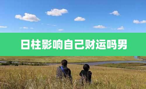 日柱影响自己财运吗男