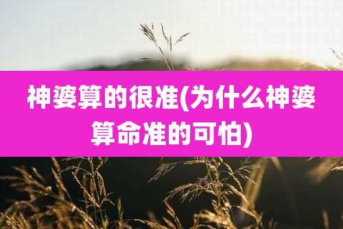 神婆算的很准(为什么神婆算命准的可怕)