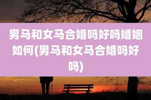 男马和女马合婚吗好吗婚姻如何(男马和女马合婚吗好吗)