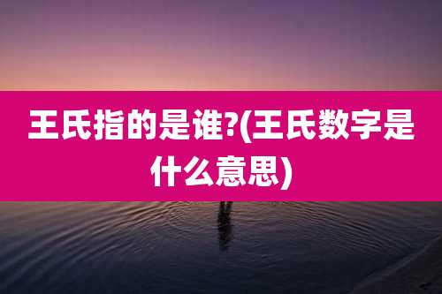王氏指的是谁?(王氏数字是什么意思)