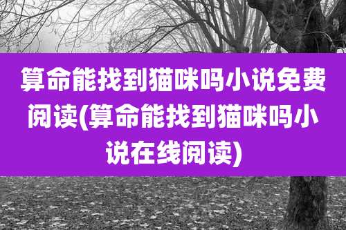 算命能找到猫咪吗小说免费阅读(算命能找到猫咪吗小说在线阅读)