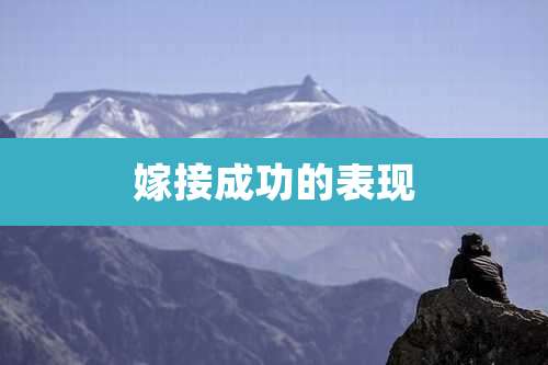 嫁接成功的表现