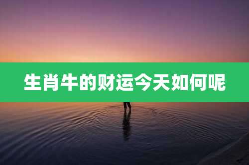生肖牛的财运今天如何呢